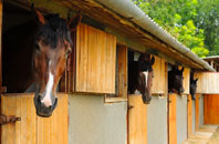 free Coed Y Parc stable construction quotes